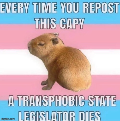 Fingers crossed for DeSantis! | image tagged in lgbtq,trans | made w/ Imgflip meme maker