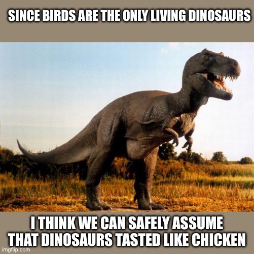 Dinosaurs tasted like chicken | SINCE BIRDS ARE THE ONLY LIVING DINOSAURS; I THINK WE CAN SAFELY ASSUME THAT DINOSAURS TASTED LIKE CHICKEN | image tagged in dinosaur,funny,memes,funny memes,dinosaurs | made w/ Imgflip meme maker
