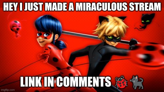 I HAVE AN ANNOUNCEMT...butt i cant find my announcement template so i do this | HEY I JUST MADE A MIRACULOUS STREAM; LINK IN COMMENTS 🐞🐈‍⬛ | image tagged in miraculous new year | made w/ Imgflip meme maker