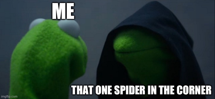 Evil Kermit | ME; THAT ONE SPIDER IN THE CORNER | image tagged in memes,evil kermit | made w/ Imgflip meme maker