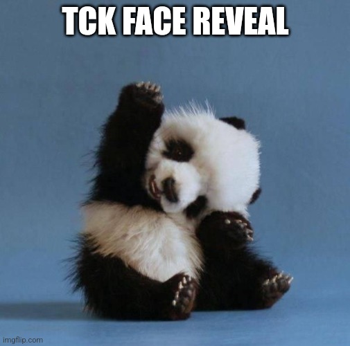 Panda | TCK FACE REVEAL | image tagged in panda | made w/ Imgflip meme maker