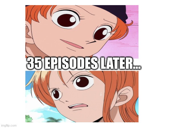 The Nami Face | 35 EPISODES LATER... | image tagged in one piece,lol so funny | made w/ Imgflip meme maker