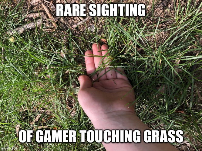 Gamers can finally touch grass : r/memes