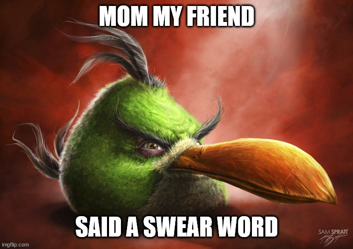 Realistic Angry Bird | MOM MY FRIEND SAID A SWEAR WORD | image tagged in realistic angry bird | made w/ Imgflip meme maker