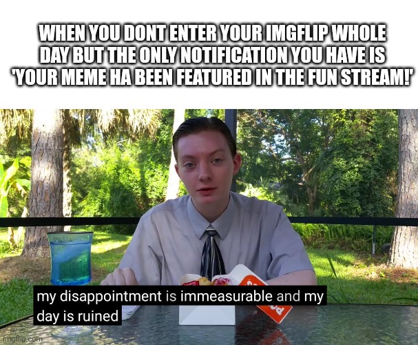 Dissapointment... | WHEN YOU DONT ENTER YOUR IMGFLIP WHOLE DAY BUT THE ONLY NOTIFICATION YOU HAVE IS 'YOUR MEME HA BEEN FEATURED IN THE FUN STREAM!' | image tagged in memes,blank transparent square,my disappointment is immeasurable | made w/ Imgflip meme maker