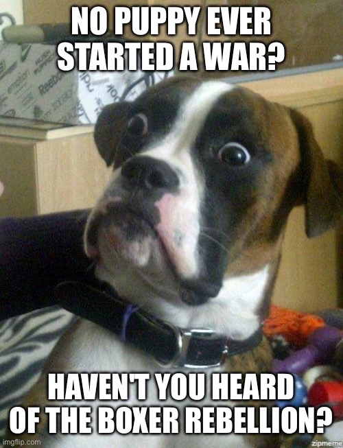 Funny Dog | NO PUPPY EVER STARTED A WAR? HAVEN'T YOU HEARD OF THE BOXER REBELLION? | image tagged in funny dog | made w/ Imgflip meme maker