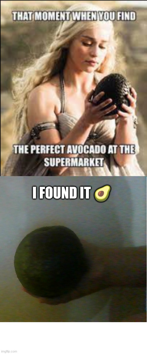 Sorry about the quality I used my laptop camera. | I FOUND IT 🥑 | image tagged in fun,memes,avocado,perfection,how | made w/ Imgflip meme maker