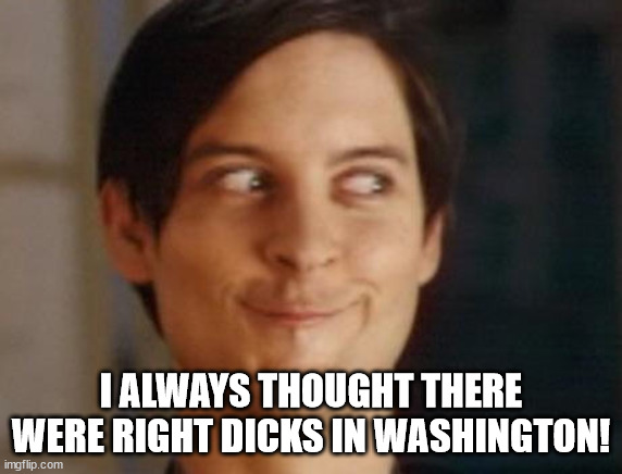 Spiderman Peter Parker Meme | I ALWAYS THOUGHT THERE WERE RIGHT DICKS IN WASHINGTON! | image tagged in memes,spiderman peter parker | made w/ Imgflip meme maker