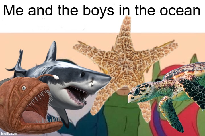 me and the boys in the ocean | Me and the boys in the ocean | image tagged in memes,me and the boys,ocean,sea | made w/ Imgflip meme maker