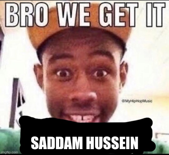 ok bro we get it. | SADDAM HUSSEIN | image tagged in bro we get it you're gay | made w/ Imgflip meme maker