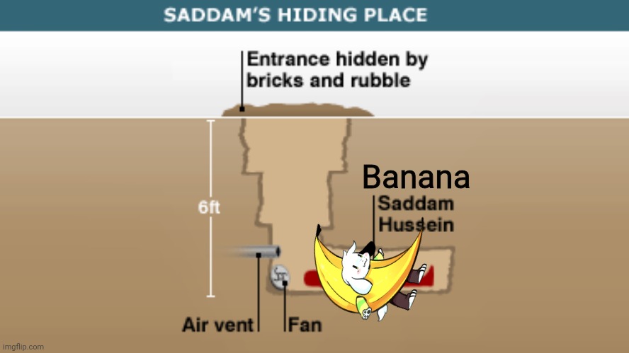 Saddam's Hiding Place | Banana | image tagged in saddam's hiding place | made w/ Imgflip meme maker