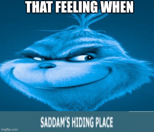 The blue grinch | THAT FEELING WHEN | image tagged in the blue grinch | made w/ Imgflip meme maker