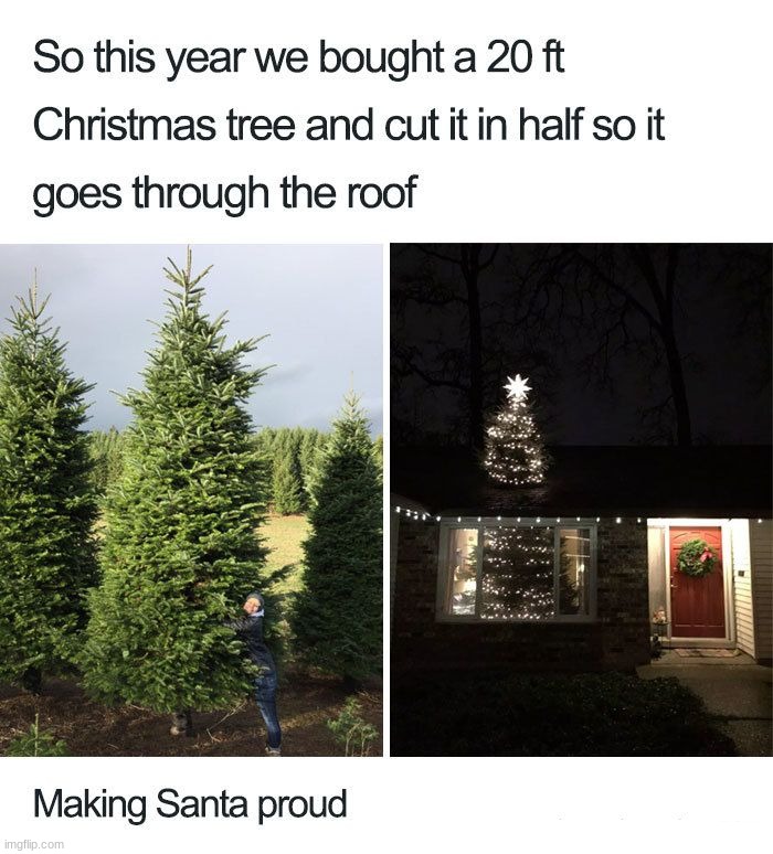 They have the best tree in the neighborhood | image tagged in memes,funny | made w/ Imgflip meme maker