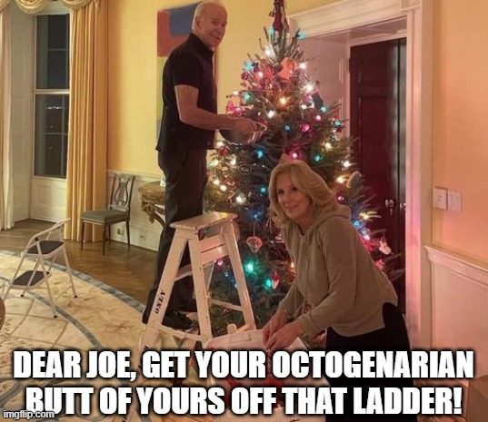 2nd Term Huh? | DEAR JOE, GET YOUR OCTOGENARIAN BUTT OF YOURS OFF THAT LADDER! | image tagged in joe biden | made w/ Imgflip meme maker