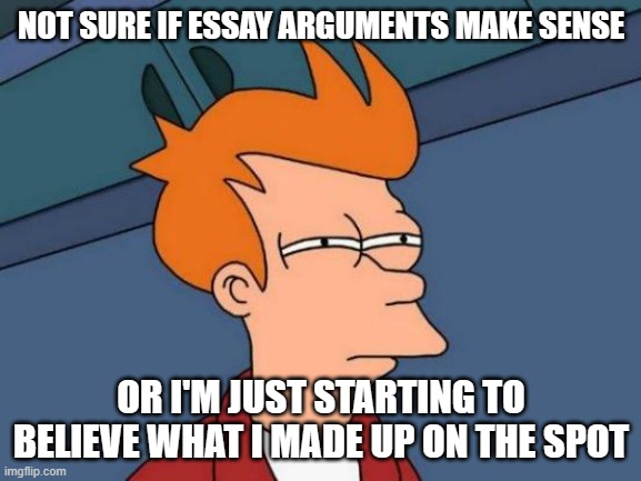 Futurama Fry | NOT SURE IF ESSAY ARGUMENTS MAKE SENSE; OR I'M JUST STARTING TO BELIEVE WHAT I MADE UP ON THE SPOT | image tagged in memes,futurama fry | made w/ Imgflip meme maker