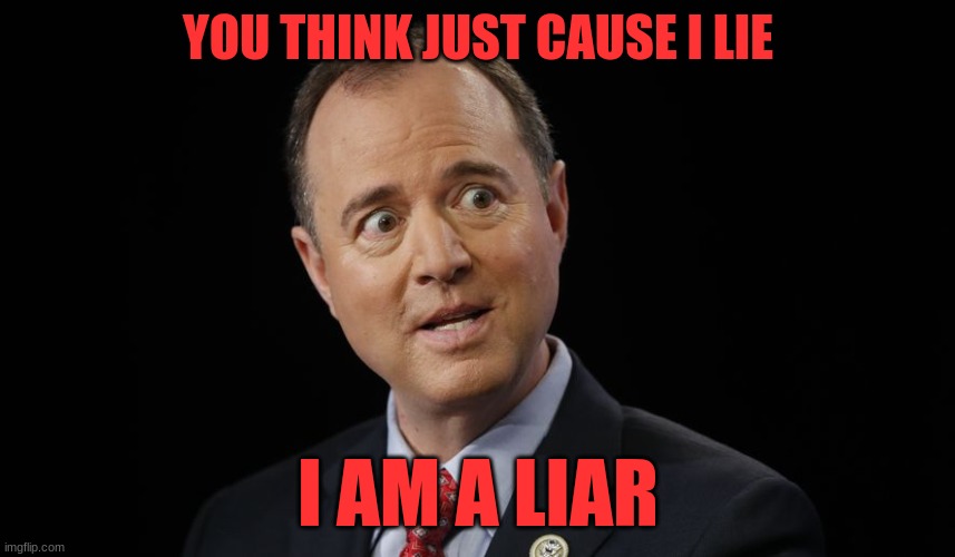 shifty | YOU THINK JUST CAUSE I LIE; I AM A LIAR | image tagged in adam schiff in disbelief,politics | made w/ Imgflip meme maker