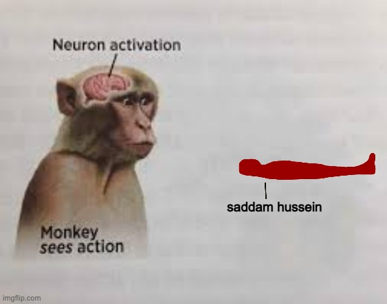 Neuron activation | saddam hussein | image tagged in neuron activation | made w/ Imgflip meme maker