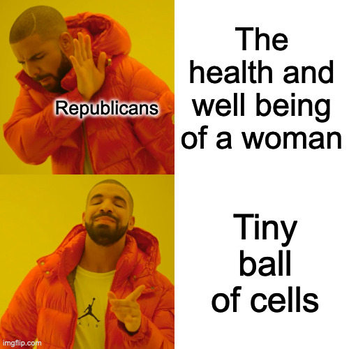 Funny thing is republicans secretly want abortion to stay legal so they don't have illegitamate kids running around | The health and well being of a woman; Republicans; Tiny ball of cells | image tagged in memes,drake hotline bling | made w/ Imgflip meme maker