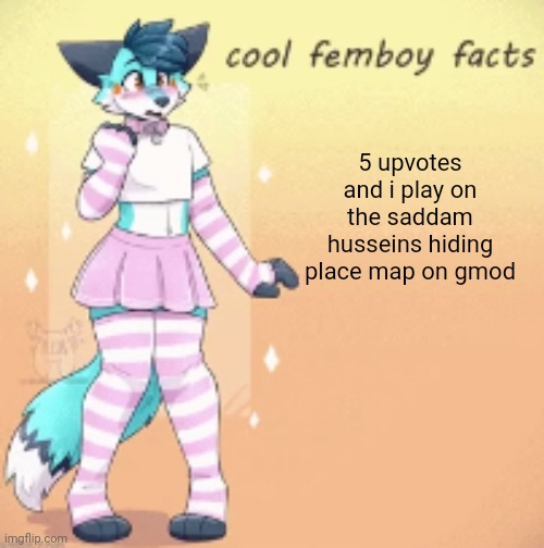 cool femboy facts | 5 upvotes and i play on the saddam husseins hiding place map on gmod | image tagged in cool femboy facts | made w/ Imgflip meme maker