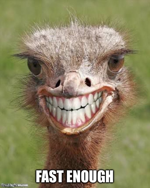 Teeth ostrich emu funny smile  | FAST ENOUGH | image tagged in teeth ostrich emu funny smile | made w/ Imgflip meme maker