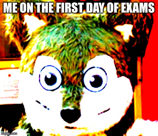 autism furry | ME ON THE FIRST DAY OF EXAMS | image tagged in autism furry | made w/ Imgflip meme maker