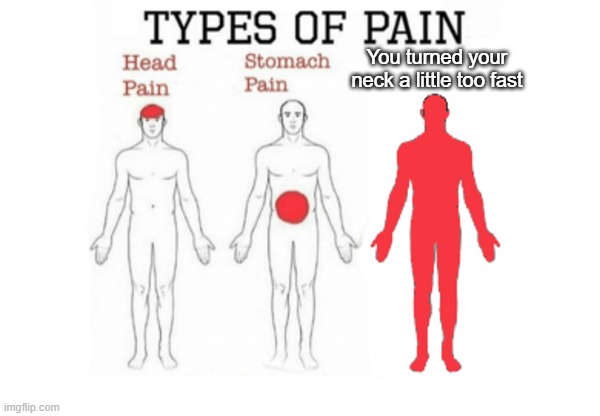 This happens to me A LOT | You turned your neck a little too fast | image tagged in types of pain,relatable memes,memes | made w/ Imgflip meme maker