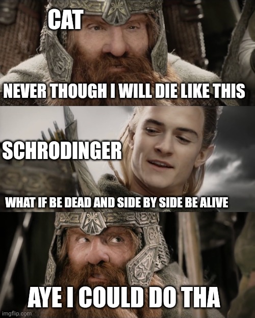Schrodinger cats lotr | CAT; NEVER THOUGH I WILL DIE LIKE THIS; SCHRODINGER; WHAT IF BE DEAD AND SIDE BY SIDE BE ALIVE; AYE I COULD DO THA | image tagged in aye i could do that blank | made w/ Imgflip meme maker