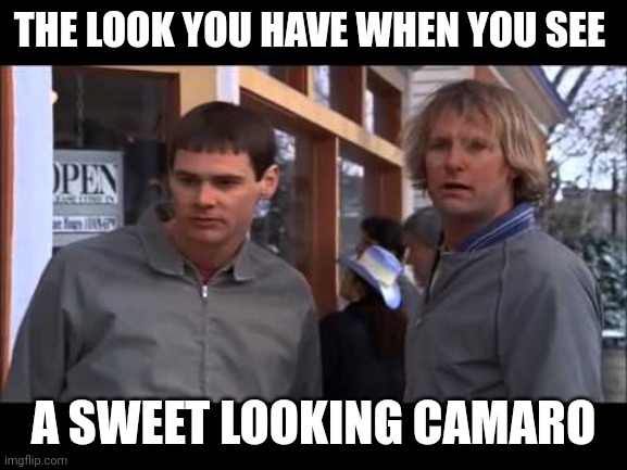 Sweet Looking Camaro | THE LOOK YOU HAVE WHEN YOU SEE; A SWEET LOOKING CAMARO | image tagged in dumb and dumber he must work out,funny memes | made w/ Imgflip meme maker