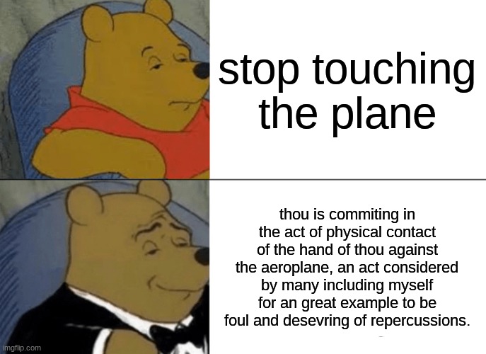 Tuxedo Winnie The Pooh | stop touching the plane; thou is commiting in the act of physical contact of the hand of thou against the aeroplane, an act considered by many including myself for an great example to be foul and desevring of repercussions. | image tagged in memes,tuxedo winnie the pooh | made w/ Imgflip meme maker