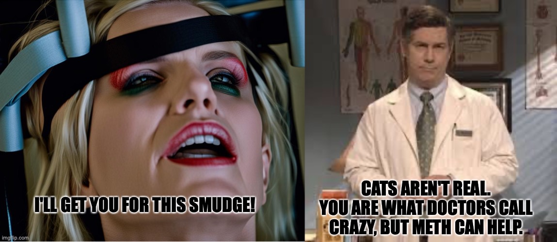CATS AREN'T REAL. YOU ARE WHAT DOCTORS CALL CRAZY, BUT METH CAN HELP. I'LL GET YOU FOR THIS SMUDGE! | image tagged in doctor | made w/ Imgflip meme maker