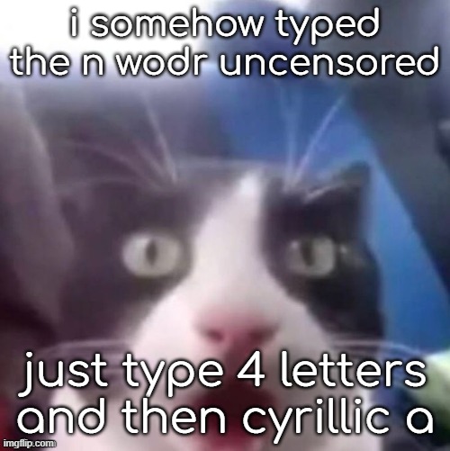 its a joke so shitmids do not dissapprove this image | i somehow typed the n wodr uncensored; just type 4 letters and then cyrillic a | image tagged in cat shocked | made w/ Imgflip meme maker