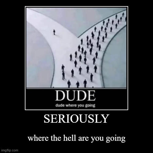 where is he going though | SERIOUSLY | where the hell are you going | image tagged in funny,demotivationals | made w/ Imgflip demotivational maker