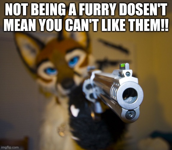 Furry with gun | NOT BEING A FURRY DOSEN'T MEAN YOU CAN'T LIKE THEM!! | image tagged in furry with gun | made w/ Imgflip meme maker