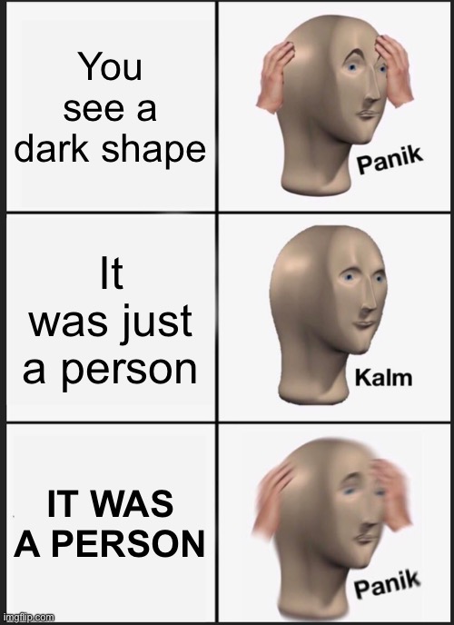 Help | You see a dark shape; It was just a person; IT WAS A PERSON | image tagged in panik kalm panik,stalker,human,help me,intruder,911 | made w/ Imgflip meme maker