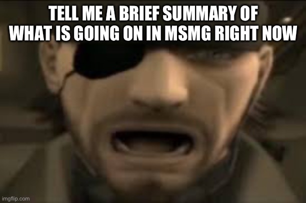 I saw an image about how people are smashing a hero academia character, and now violations, what the fuck did you people do now | TELL ME A BRIEF SUMMARY OF WHAT IS GOING ON IN MSMG RIGHT NOW | image tagged in naked snake scream | made w/ Imgflip meme maker