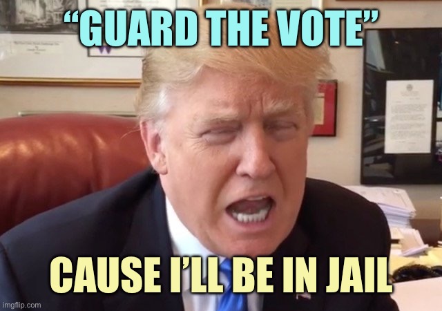 trump crying | “GUARD THE VOTE”; CAUSE I’LL BE IN JAIL | image tagged in trump crying | made w/ Imgflip meme maker
