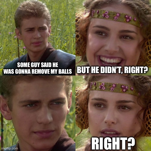Anakin Padme 4 Panel | SOME GUY SAID HE WAS GONNA REMOVE MY BALLS; BUT HE DIDN’T, RIGHT? RIGHT? | image tagged in anakin padme 4 panel,balls,help me,surgery,thug,send help | made w/ Imgflip meme maker