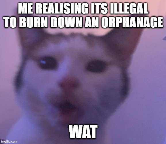 oh no | ME REALISING ITS ILLEGAL TO BURN DOWN AN ORPHANAGE; WAT | image tagged in what | made w/ Imgflip meme maker