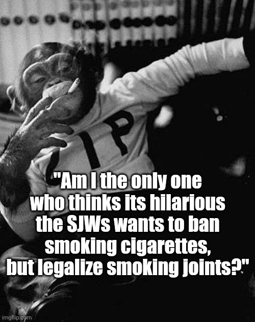 Stop and think about this for a second.... just wait, you'll get it eventually. | "Am I the only one who thinks its hilarious the SJWs wants to ban smoking cigarettes, but legalize smoking joints?" | image tagged in zip the smoking chimp,smoking,they re the same thing,think about it,hypocritical,what do we want | made w/ Imgflip meme maker