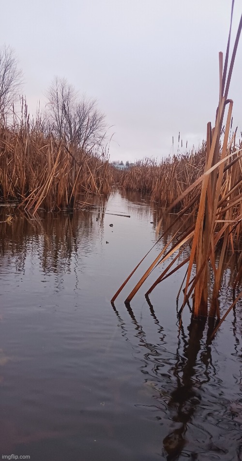 FROM LAKE TO LAKE DOWN A CATTAIL CREEK | image tagged in kayak,lake | made w/ Imgflip meme maker