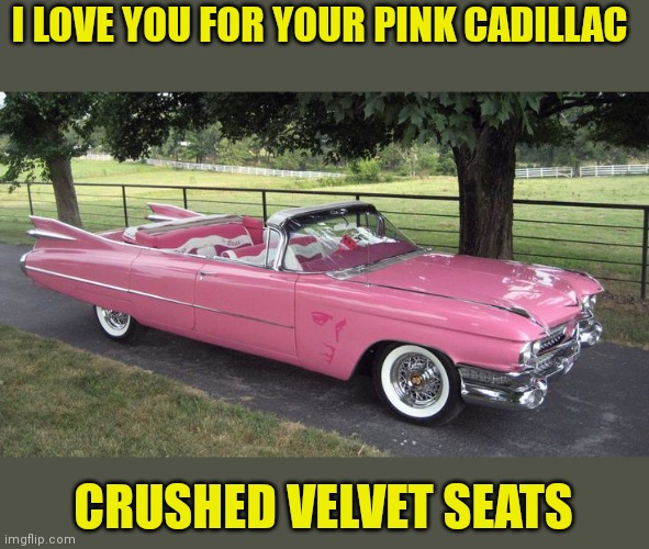 Pink Cadillac | I LOVE YOU FOR YOUR PINK CADILLAC; CRUSHED VELVET SEATS | image tagged in funny memes | made w/ Imgflip meme maker