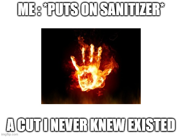 ME : *PUTS ON SANITIZER*; A CUT I NEVER KNEW EXISTED | made w/ Imgflip meme maker