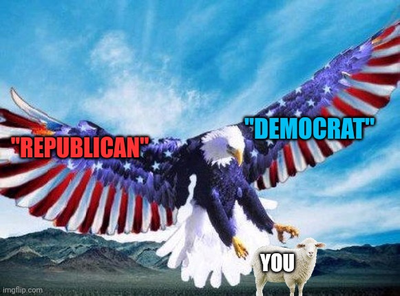 Left wing right wing get it?... No You didn't | "DEMOCRAT"; "REPUBLICAN"; YOU | image tagged in freedom eagle | made w/ Imgflip meme maker