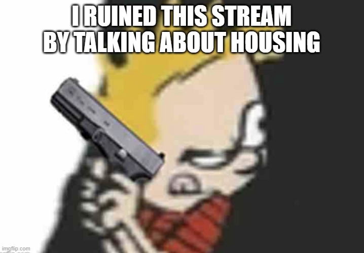 Calvin gun | I RUINED THIS STREAM BY TALKING ABOUT HOUSING | image tagged in calvin gun | made w/ Imgflip meme maker