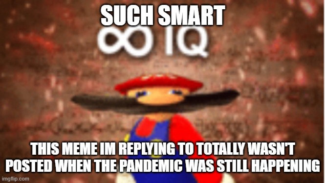 Infinite IQ | SUCH SMART THIS MEME IM REPLYING TO TOTALLY WASN'T POSTED WHEN THE PANDEMIC WAS STILL HAPPENING | image tagged in infinite iq | made w/ Imgflip meme maker
