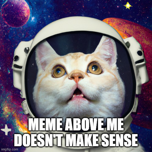cat astronaut | MEME ABOVE ME DOESN'T MAKE SENSE | image tagged in cat astronaut | made w/ Imgflip meme maker