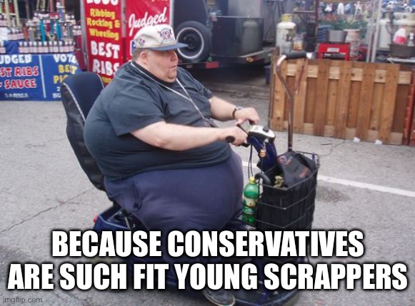 fat ass american | BECAUSE CONSERVATIVES ARE SUCH FIT YOUNG SCRAPPERS | image tagged in fat ass american | made w/ Imgflip meme maker