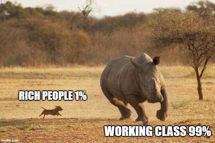 Ashamed of Humanity | RICH PEOPLE 1%; WORKING CLASS 99% | image tagged in animals,funny,memes,shame,stupid,government corruption | made w/ Imgflip meme maker