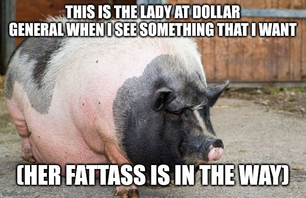 fat pig | THIS IS THE LADY AT DOLLAR GENERAL WHEN I SEE SOMETHING THAT I WANT; (HER FATTASS IS IN THE WAY) | image tagged in fat pig | made w/ Imgflip meme maker