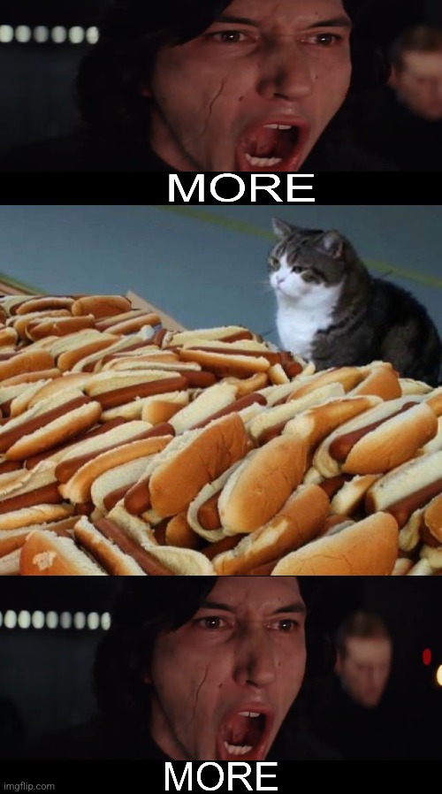 MORE | image tagged in cat hotdogs,kylo ren more | made w/ Imgflip meme maker
